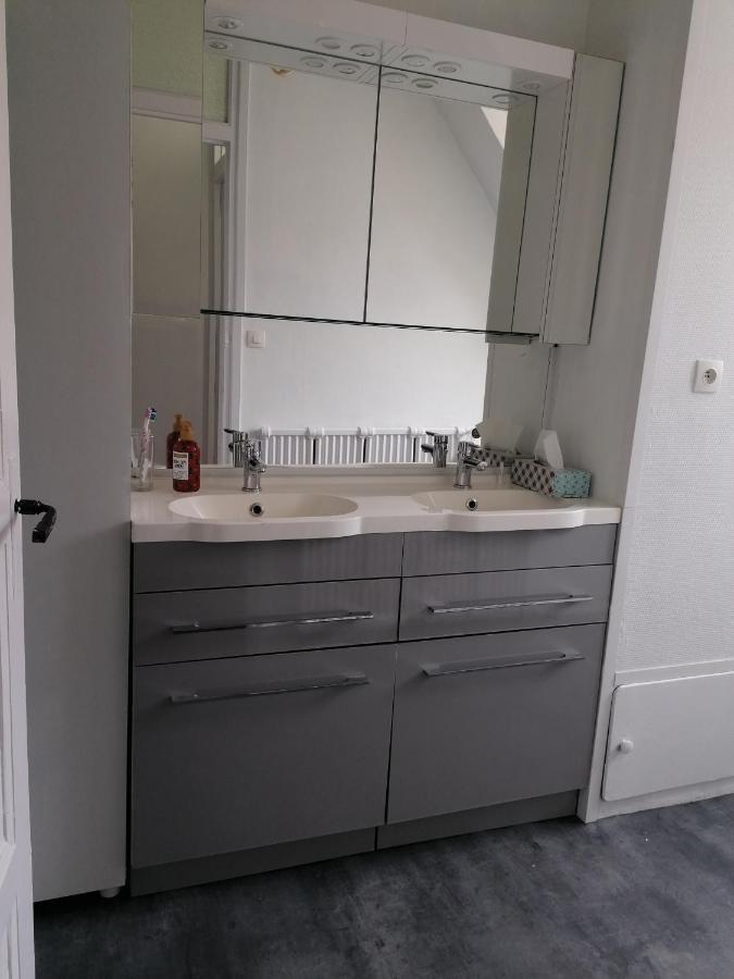 Appartement 85 M2 Centre-Ville Entierement Renove Le Creusot Dış mekan fotoğraf